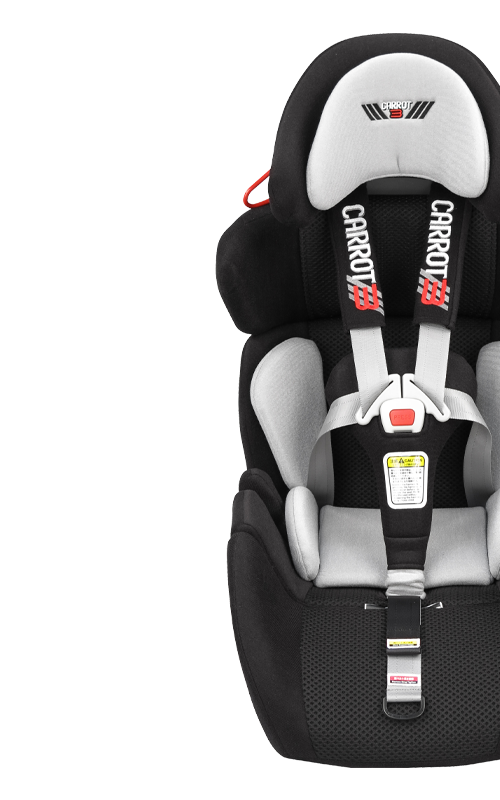Carrot carseat